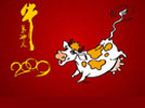 越策越开心20090202期：牛里牛气过大年
