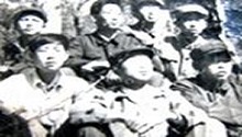 枝柳线(三)