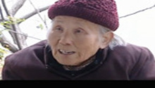 桂花树下的守望者(上)