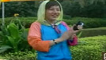 第三季歌手大玩休闲小游戏